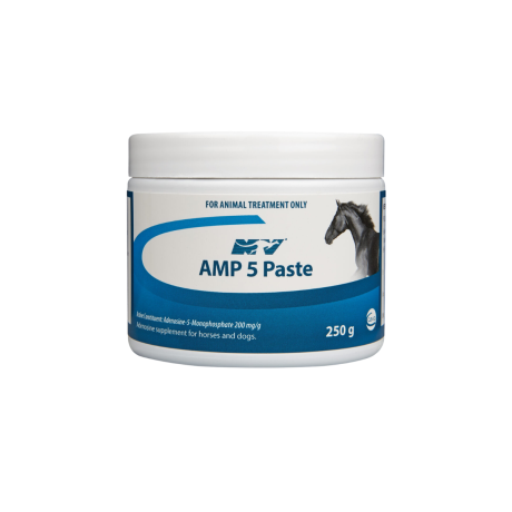 AMP 5 250G Paste