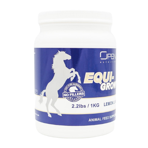 Equi-Growth 2