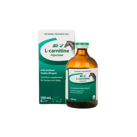 L-Carnitine 100ML Injection